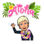 Prof. Rich with a colorful hawaiian Lei around his neck and the word Aloha above his head.