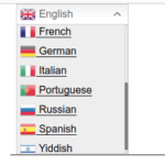 A screenshot revealing the dropdown menu for changing languages.